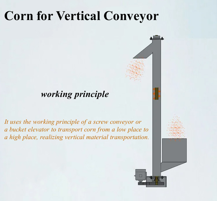 Corn for Vertical Conveyor